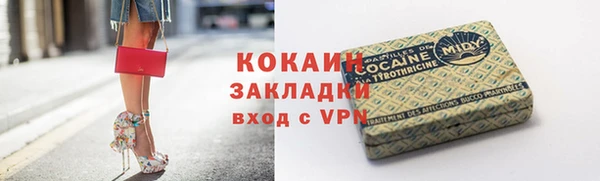 индика Михайловск