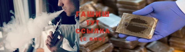 индика Михайловск
